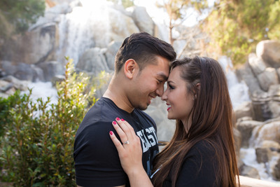 California Adventure Engagment