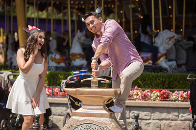 sword in the stone disney engagement