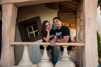 Toon Town Engagement